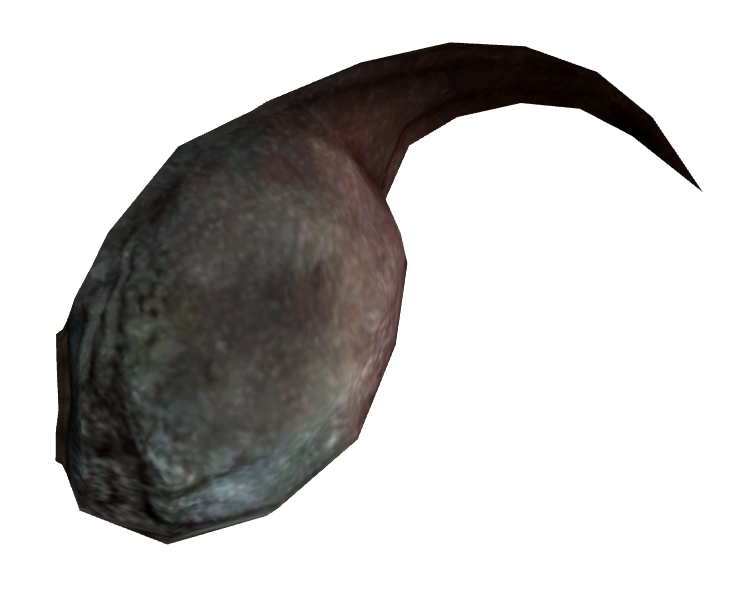 Datei:Radscorpion poison gland.png