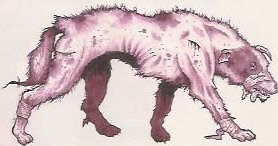 Datei:Wild Mutant coyote.jpg