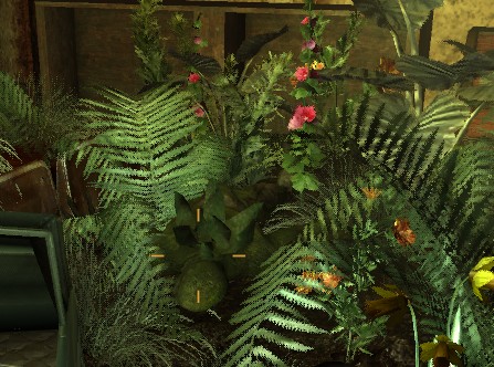 Datei:Hidden spore carrier.jpg