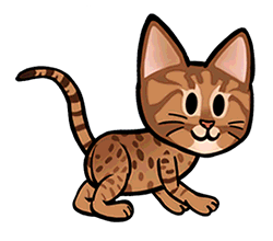 Datei:Ocicat.png