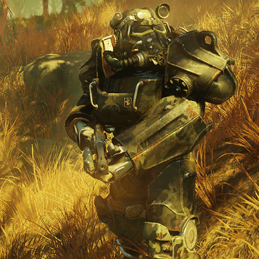 Datei:Atx skin powerarmor paint camoblack c1.png