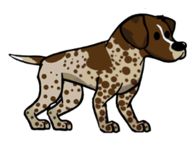 Datei:German Pointer.png