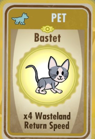 Datei:Basket (cat).jpg