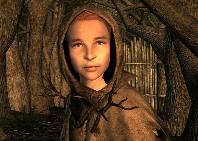 Datei:Branchtender Maple.jpg