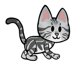 Datei:American Shorthair.png