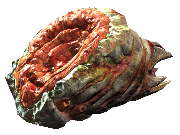 Datei:Bloatfly meat.png