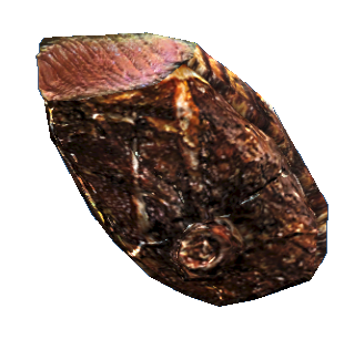 Datei:Mirelurk queen steak.png