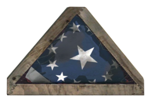 FO76 Trifold American flag.png