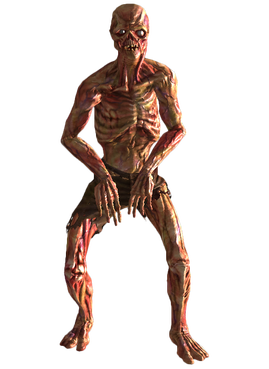 Feral ghoul.png