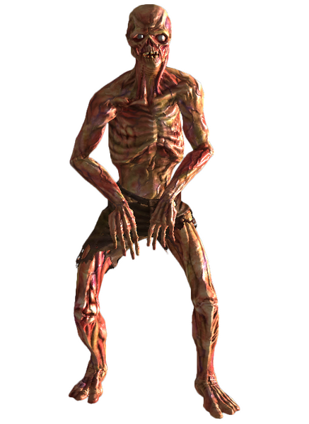 Datei:Feral ghoul.png