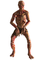 Feral ghoul