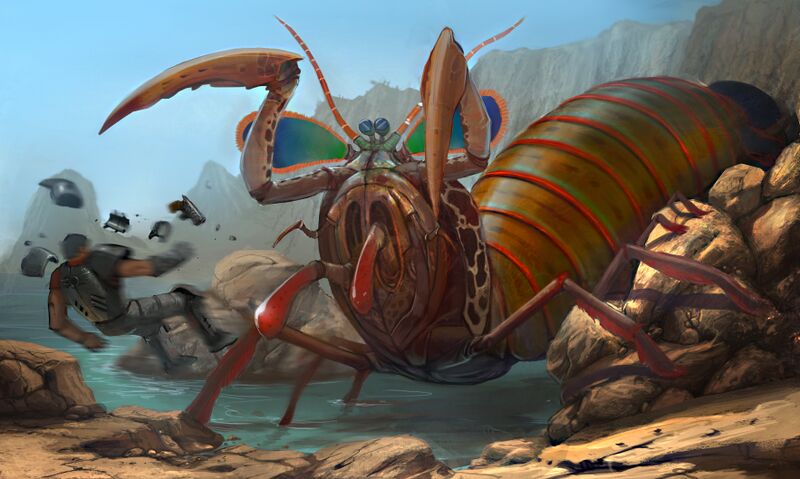 Datei:Concept mutant mantis shrimp.jpg