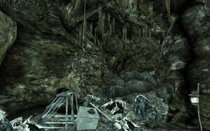 Herzogs skeleton.jpg