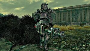 Paladin at the Citadel.jpg