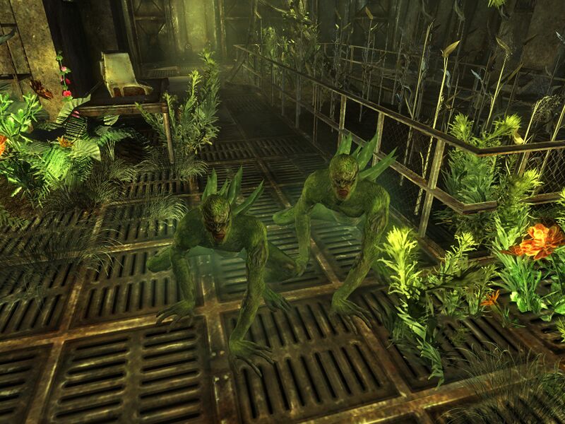 Datei:Spore carriers FD.jpg