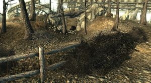 The Warren's entrance.jpg