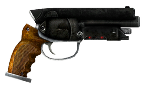 FNV556mmPistol.png