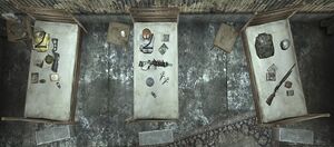 Followers Safe house Faction reward.jpg