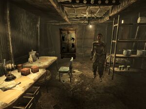 Schenzy residence interior.jpg