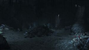 Fallen Rock Cave interior.jpg
