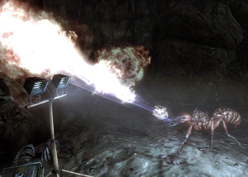 Datei:Nest guardian.jpg