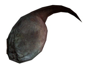 Radscorpion poison gland.png