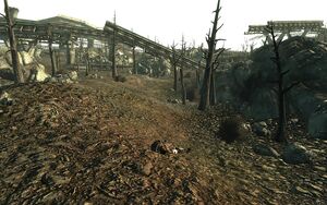 Checking Out (NPC).jpg