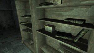 FO3 Coin Collection.jpg