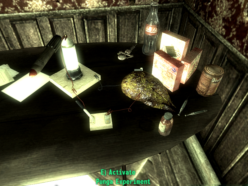 Datei:Punga Experiment.png