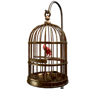 Score s5 camp floordecor birdincage l.webp