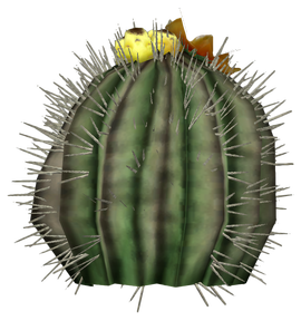 Barrel cactus plant.png