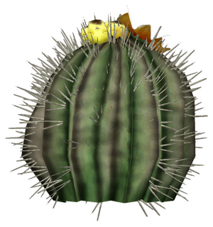 Barrel cactus plant.png