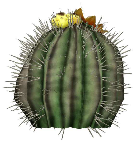 Datei:Barrel cactus plant.png