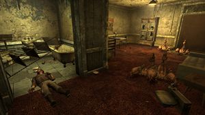 El Rey Motel room1.jpg