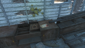 FO4 ranger cabin WSG8.png