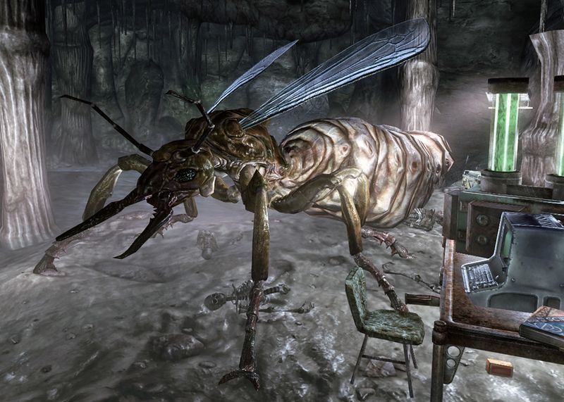 Datei:Marigold ant queen.jpg