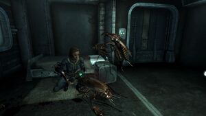 Ellen DeLoria Radroach.jpg