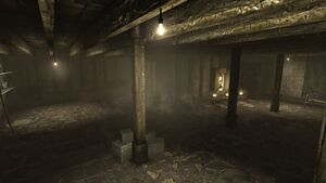 FO3 Arlington House Basement.jpg
