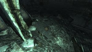 Fo3 basketball2 Roosevelt Academy AA.jpg