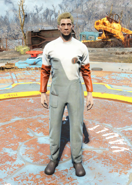 Datei:Fo4Institute Jumper.png