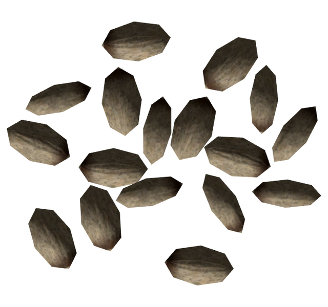 Datei:Pinyon nuts.png