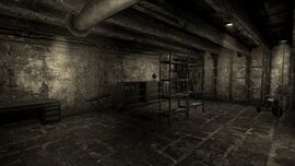 Rockwell residence basement.jpg