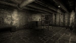 Rockwell residence basement.jpg