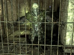 Swamplurk queen trappers shack.jpg