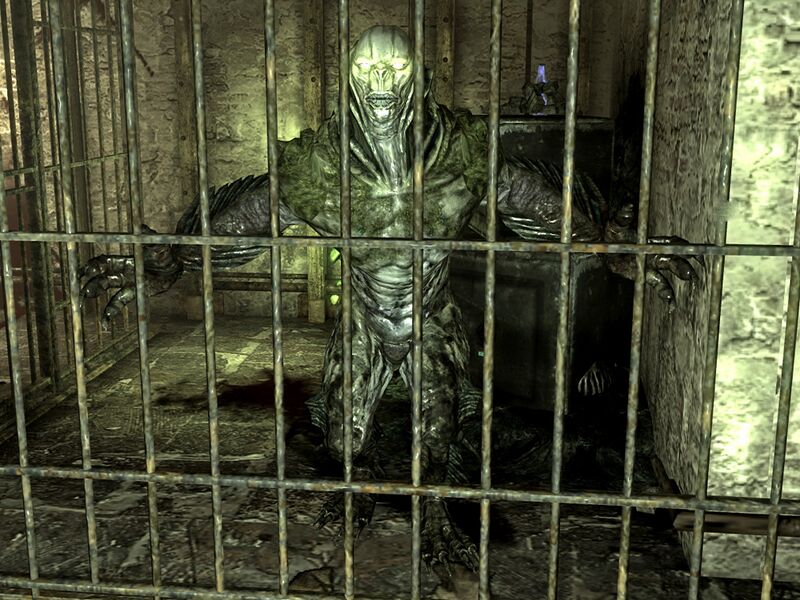 Datei:Swamplurk queen trappers shack.jpg