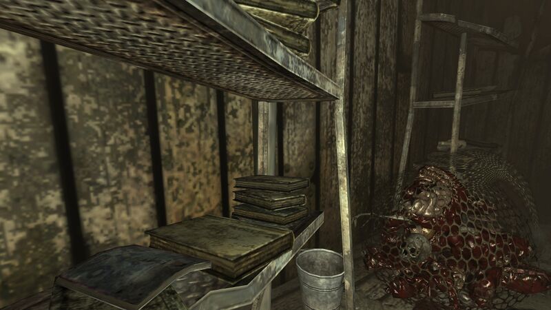 Datei:FO3 GTB Clifftop Shacks.jpg