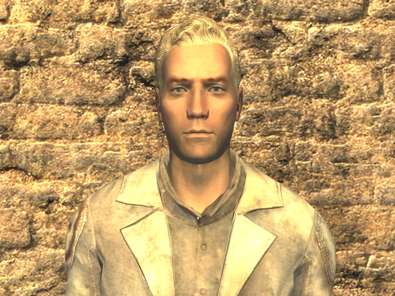 Datei:FNV Arcade w glasses.png