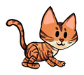 Toyger