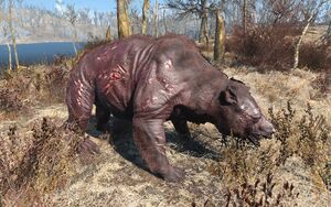 Fo4 dusky yao guai.jpg