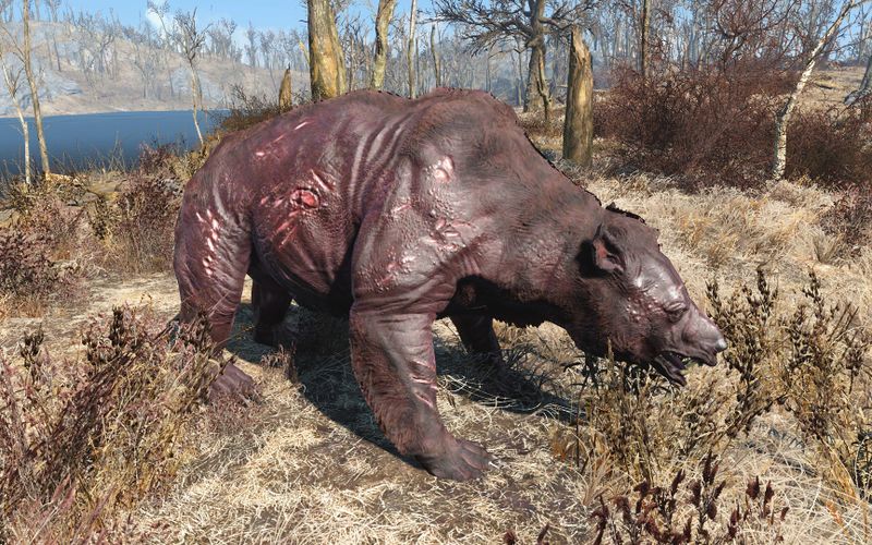 Datei:Fo4 dusky yao guai.jpg